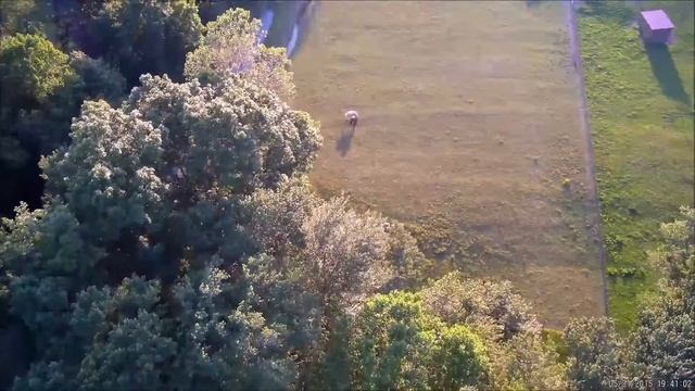 Gitup Git2 - 90* Lens - Quick FPV Test смотреть онлайн