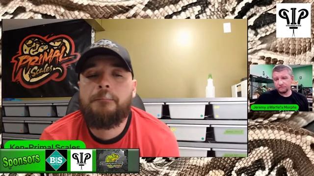 S2-EP. 4: Live W/ Ken of Primal Scales Talking Ball Pythons & Ball Python Breeding смотреть онлайн