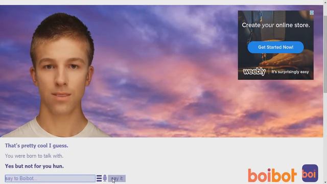 Boibot Random/Funny Conversations Ep.1: Boibot the not so smart bot!! смотреть онлайн