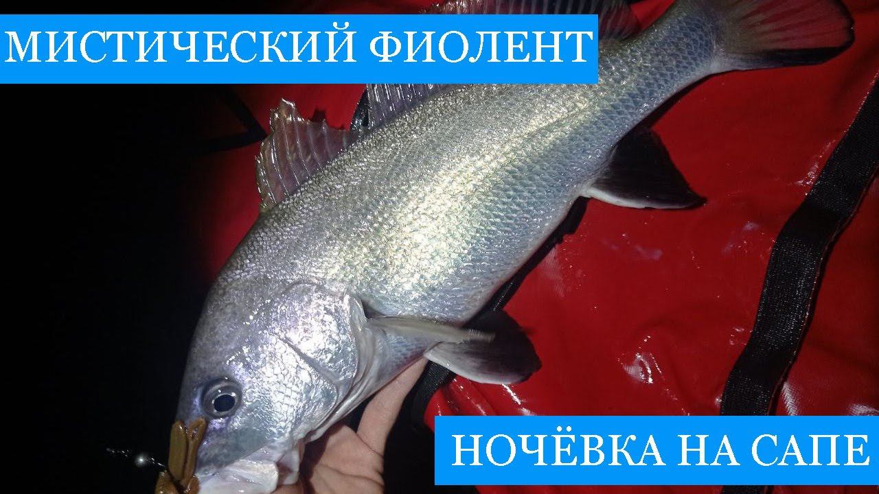 Лето в СЕВАСТОПОЛЕ! - Рыбалка и охота на Фиоленте, скалы Орест и Пилат и ночевка на Яшмовом пляже! смотреть онлайн