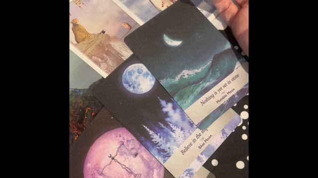 New Moon in Leo Oracle Reading смотреть онлайн