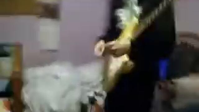 funny money joke! смотреть онлайн