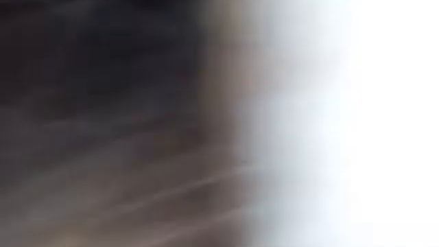 Решила показать животных смотреть онлайн