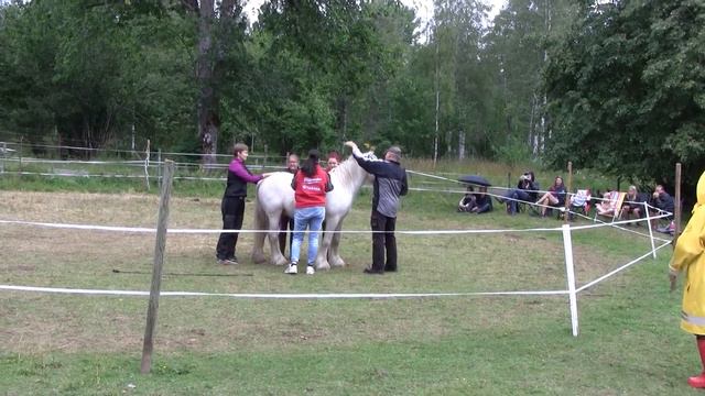 Stefan Forsman Åseda 13/7 2019 смотреть онлайн