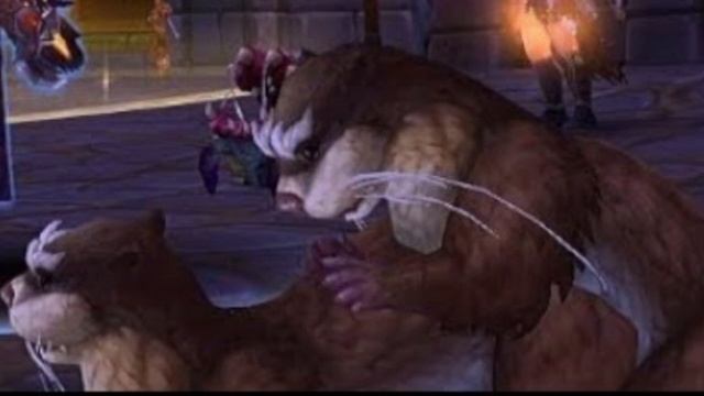 Немного о Выдрах смотреть онлайн