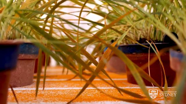 Professor Robert Park’s research смотреть онлайн