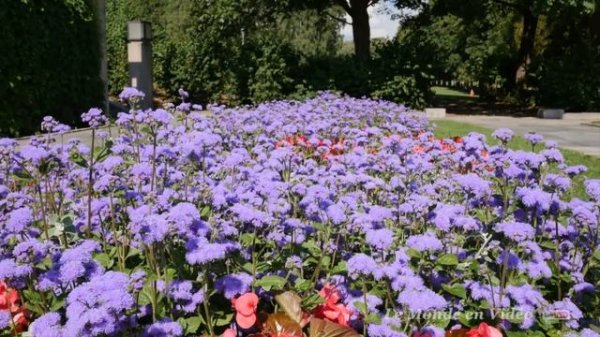 Vigeland Park, Oslo Norway (ULTRA 4K)