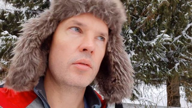 Почему летучие мыши живут так долго? Как зимуют летучие мыши?