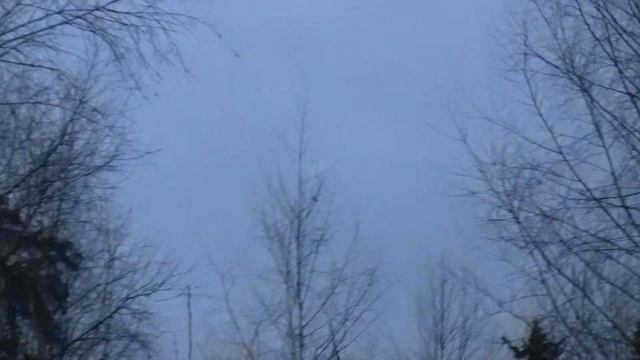 Тяга вальдшнепа смотреть онлайн