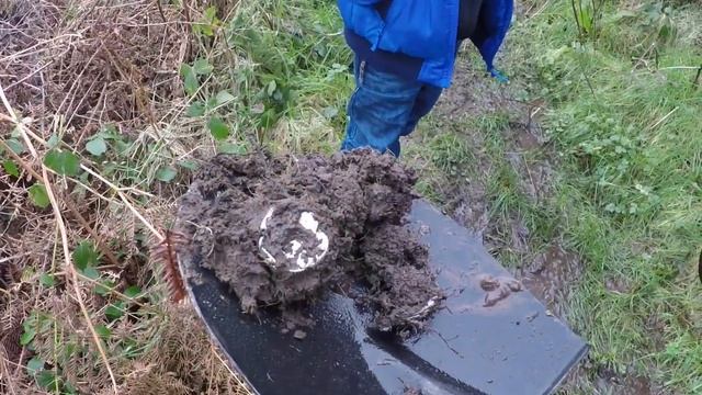 XP ADX 150 Metal Detecting Alfie's New Detector