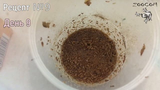 10 рецептов дрозофилы: результаты смотреть онлайн