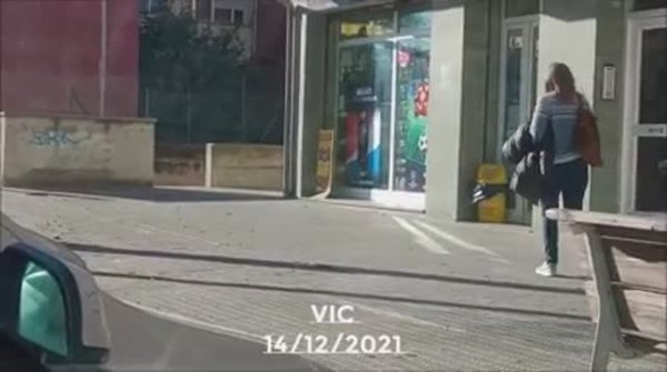 Голуби улетают| La colomada s'esvalota