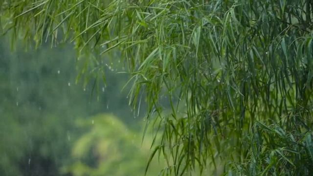 акула карие глаза музыка смотреть онлайн