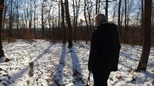 205. Rusanj - Bela Reka - Ripanj смотреть онлайн