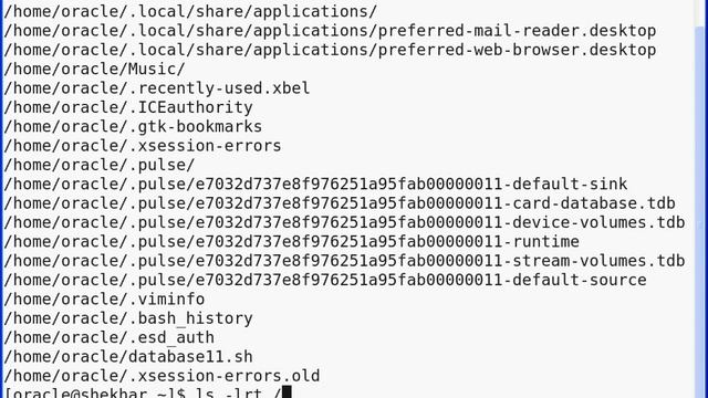 Focus Training - Data Backup on Linux using tar command смотреть онлайн
