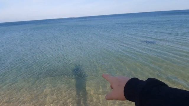 Золото// Азовское море, Голубицкая смотреть онлайн