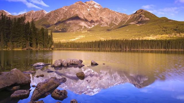 У вас обязательно должен быть свой опыт - Роберт Адамс смотреть онлайн