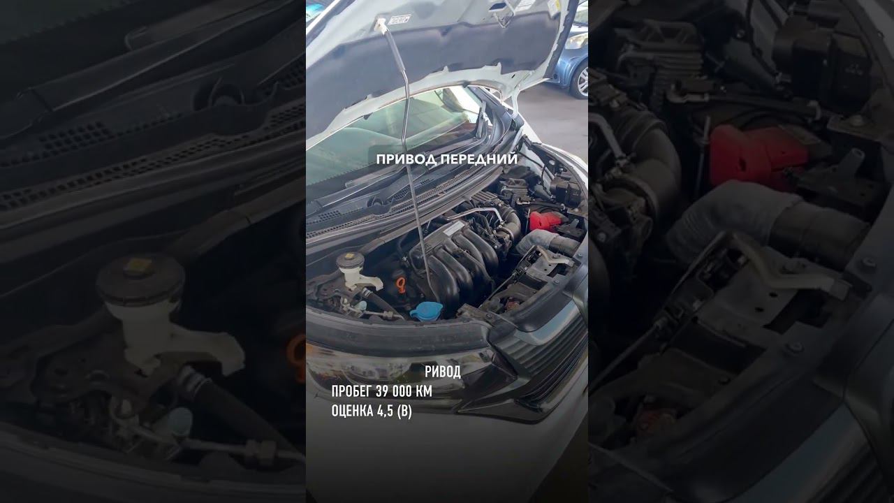 2019 HONDA FREED + смотреть онлайн