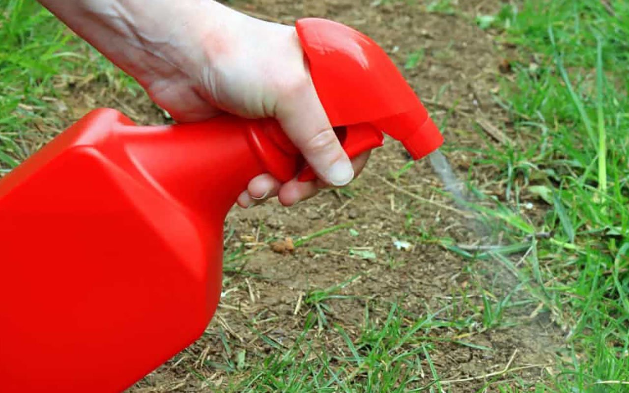 Как мгновенно и быстро избавиться от любого сорняка и травы За 3 Секунды! смотреть онлайн