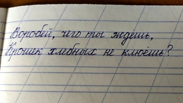 Русский язык 1 класс Планета знаний. Непарные звонкие и глухие согласные звуки. смотреть онлайн