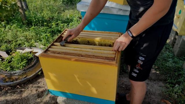 Качаем мед 2021 смотреть онлайн