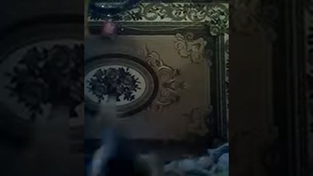 Как научиться стоять на стойке на груди. смотреть онлайн