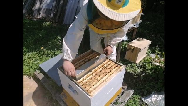Сделай так и точно будешь с весенним медом смотреть онлайн