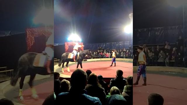 Казаки Цирк Европа Липецк) смотреть онлайн