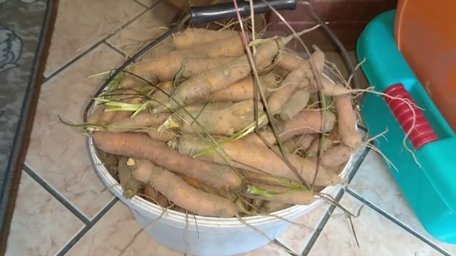 Готовим семейные обеды и ужины