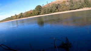 Ловля усача на фидер на кубани