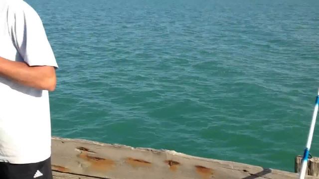 Рыбалка на Каспийском море на кутума смотреть онлайн