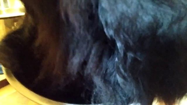 Добрейшая порода собак смотреть онлайн