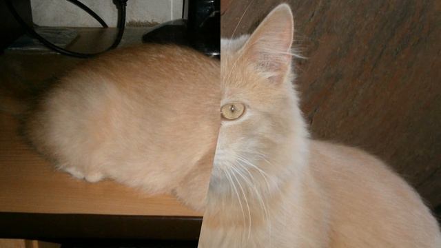 Ты ушел,но в моём сердце ты останешься на всегда! 👿 ͡๏̯͡๏ смотреть онлайн