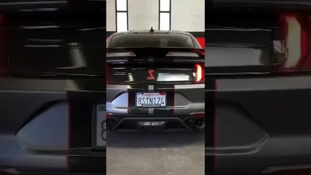 If you think a Lamborghini or ferrari is More loud than a shelby ? смотреть онлайн