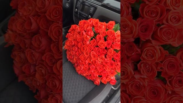 ? 101 роза 70см смотреть онлайн