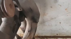 крючки для мясо