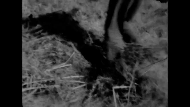 Школа 731 (Рублево). 60-е годы. 10Б класс. смотреть онлайн