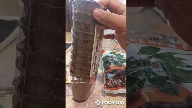 ПОДГОТОВКАК НОВОМУ ОГОРОДНОМУ СЕЗОНУ 2023Г. ОГОРОД НА КУБАНИ. shorts# смотреть онлайн