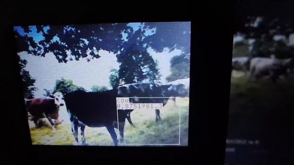 Maixduino Object Detection | AI MicroPython