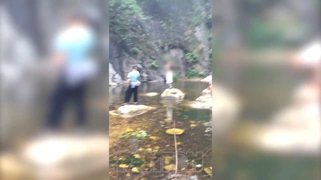 My Life At Shaolin Temple смотреть онлайн