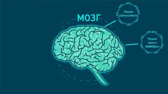 Гинкго Билоба - Паста на основе меда и растения Гинкго Билоба | Pecomarket смотреть онлайн
