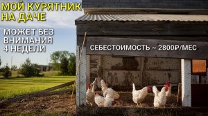 Курятник на даче на 25 кур: наше хобби. Осень, уход в зиму