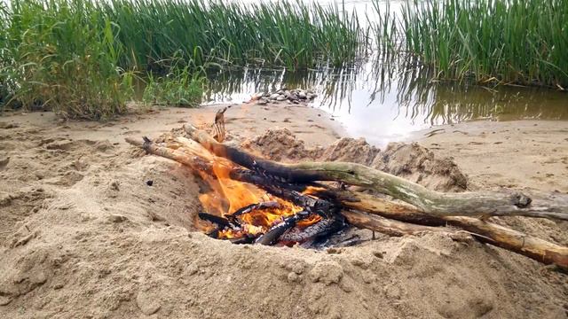 Звуки костра у Реки,Звуки Природы.Sounds of a campfire by the River, Sounds of Nature смотреть онлайн