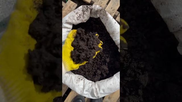 Торфогрунт плодородный. 70% - увлажнённая чистая земля. 30% - низинный торф. смотреть онлайн