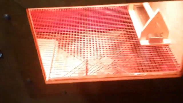 Зимний курятник своими руками 2 часть. Встроенные брудеры. смотреть онлайн