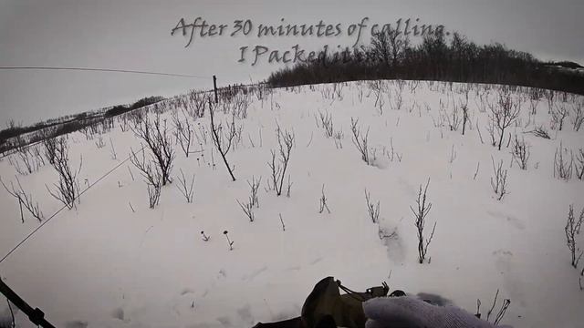 Coyote hunting with Skis in Snowy Saskatchewan смотреть онлайн