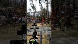 Кладбище пуршево(1)