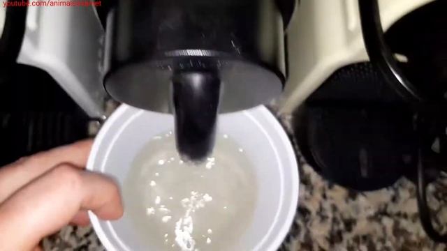 Nespresso Delonghi Inissia coffee machine: First use or after a long period of non-use смотреть онлайн