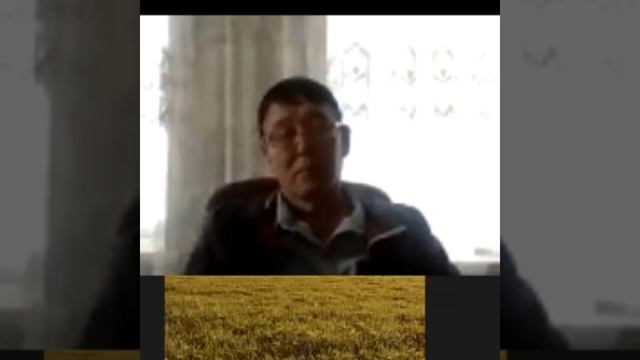 Жазушы, драматург Елен Әлімжанмен онлайн кездесу смотреть онлайн