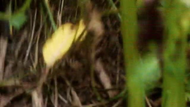 Как достать воду смотреть онлайн